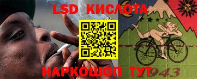 индика Ярославль