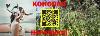 индика Ярославль