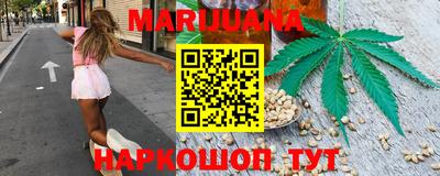 индика Ярославль
