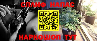 индика Ярославль
