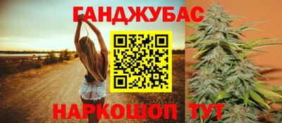 индика Ярославль