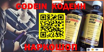 индика Ярославль