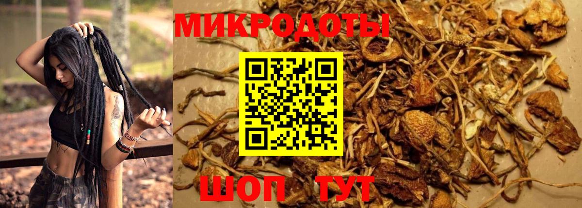 Псилоцибиновые грибы GOLDEN TEACHER  Вход с VPN  Галлюциногенные грибы мицелий  Иваново 